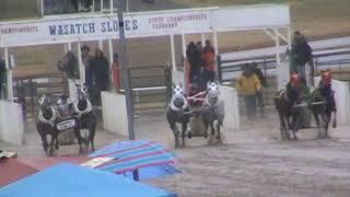BUTLER FAMILY VS HARDROCK STABLES VS SLO RACING