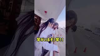 【ライブ】豪華客船、ルミナス神戸でライブさせていただきました #神聖フレラモ #豪華客船　#ルミナス神戸　#神戸　#船上ライブ　#アイドル