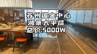 【石头】苏州园区国金中心云端湖景大平层，总价5000W，俯瞰金鸡湖