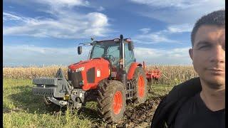 Testăm KUBOTA la scarificat... Maschio-Pinocchio 250/7