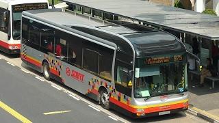 SMRT Bus Service 975, SMB1649H (Full Trip)