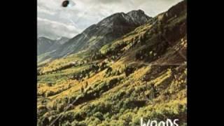 Woods - Rain On