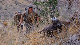 Truth or Consequences | A New Mexico Desert Sheep Hunt