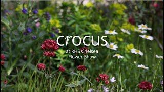 A Tour Of The Mind Garden 2022 | Crocus at the RHS Chelsea Flower Show