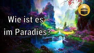 DAS erwartet dich im PARADIES