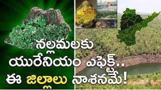 Special Story On Uranium Mining in Nallamala | Aadhan Telugu