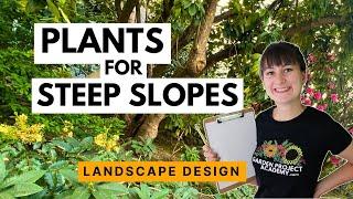 What to plant on a steep slope 🪴 How to design a garden on a hill