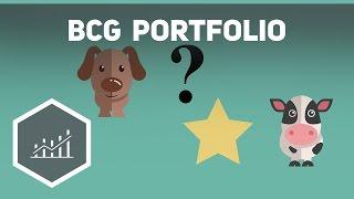 BCG Portfolio einfach erklärt