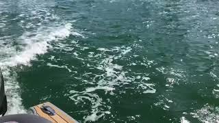 Professional Captain Services, Inc.