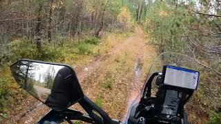 Going to an old sawmill 🪚 on the Yamaha Tenere 700 Rally