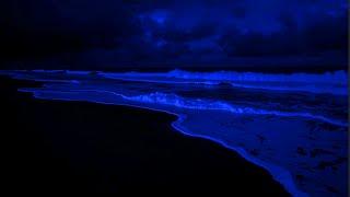  Ocean Dreams at Night | Sleep Sounds of Waves for Relaxation, Study Focus, or Peace of Mind