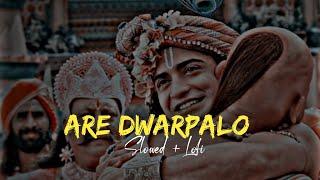 Are Dwarpalo Kanhaiya Se Kehdo  Slowed + Lofi  Audio Lyrics Rishabh Soni