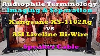 Audiophile Terminology 01 : Imaging & Separation (All About That Bass)