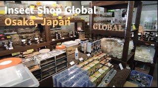 Insect Shop Global 2023, Osaka Japan