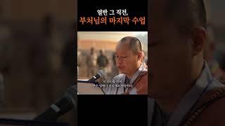 열반 그 직전, 부처님의 마지막 수업 #상월결사인도순례 #부처님 #열반