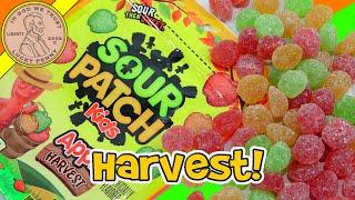 Sour Patch Kids Apple Harvest Soft $ Chewy Candy Tasting   Cranberry, Cider And Caramel Apple