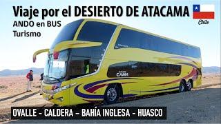 Trip ATACAMA DESERT CHILE by bus Alex Tour | ANDO EN BUS TURISMO