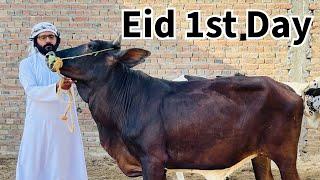 Eid 1st Day Vlog | Yala Habibi  | Eid Mubarik  | Yasir Riaz Vlog