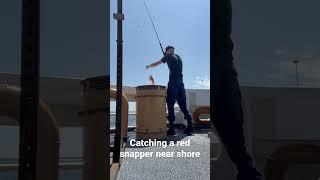 Red snapper fishing in FlORIDA