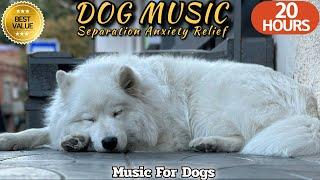 20 HOURS of Dog Calming Music For DogsSeparation Anxiety ReliefCalm Sleep for Dogs Healingmate