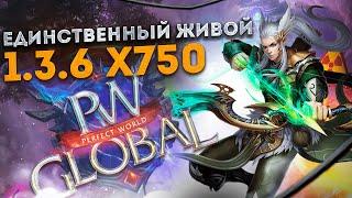 ЕДИНСТВЕННЫЙ ЖИВОЙ 1.3.6 Х750 СЕРВЕР PERFECT WORLD GLOBAL PW! ПВП СЕРВЕР ПЕРФЕКТ ВОРЛД