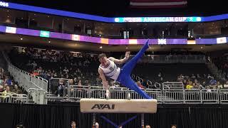 Oleg Verniaiev (UKR) - Pommel Horse - 2020 American Cup