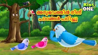 അനുഭവത്തിൽ നിന്ന് പാഠങ്ങൾ പഠിച്ചു | Malayalam Fairy Tales | Malayalam Cartoon| Stories in Malayalam