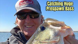 THIS Is How You Catch BIG Prespawn Bass…(Areas/Lures/Strategies)