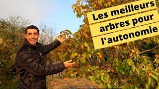 Les meilleurs arbres fruitiers pour l'autonomie