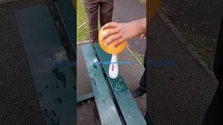 Fizz Frenzy : Exploring the Reaction of Vinegar and Baking Soda