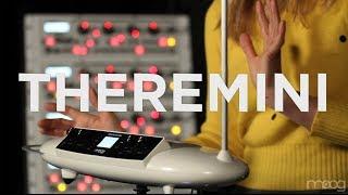 Theremini | Dorit Chrysler