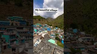 My beautiful village Gadri #uttarakhand #villagelife #shortvideo