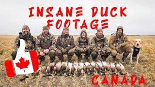 BEST DUCK HUNT EVER! Canada!