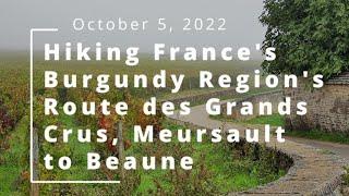 Hiking France's Burgundy Region's Route des Grands Crus, Meursault to Beaune (Oct 5, 2022)