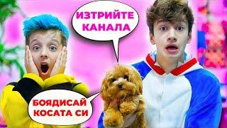 Предизвикателство: Кучето управлява нашия живот 24 часа!  | Boys and Toys Bulgarian