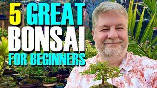 5 Great Bonsai Trees for Beginners