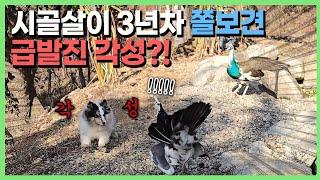 강아지가 스스로 깨우친 DNA의 본능 ㅋㅋㅋ