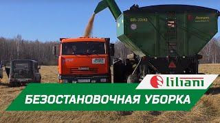 Безостановочная уборка зерна с бункером-перегрузчиком в ООО СИБИРСКАЯ НИВА