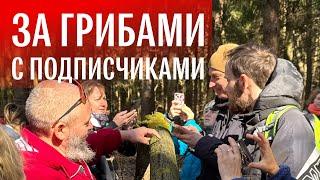 Грибная разведка в Мытищинском лесу. Михаил Вишневский
