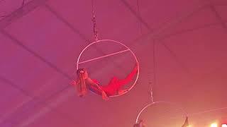 finix circus 5