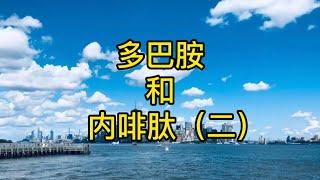 追逐内啡肽，内啡肽是什么？为什么每个人都需要内啡肽