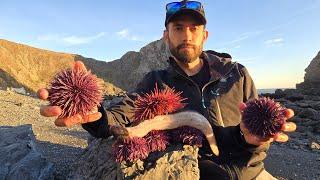 Eels and Uni (Sea Urchin) - Best Yield I've Ever Seen!