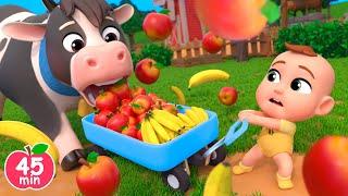 Apples and Bananas | Feeding Animals Song +MORE Lalafun Nursery Rhymes & Kids Songs