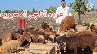 قسما بالله لوقف الكل عند حده ونزل اسعار النهارده ملهاش وصف في الرحماني البيور
