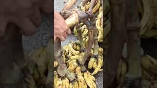 Plantain Market in Lagos Nigeria #africa #food #africamarket #marketvlog #villagemarket #streetfood