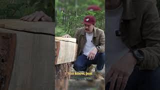 Does Ponderosa Pine Bark taste as good as it smells? #shorts #trees #foraging