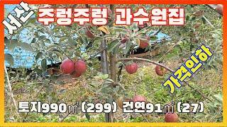 [물건번호2750]서산시 운산리 "주렁주렁 사과나무 과수원집 가격인하 급매" 합니다,  사과나무 6~7년생  묘목이 65그루 있는  과수원집 매매 합니다,