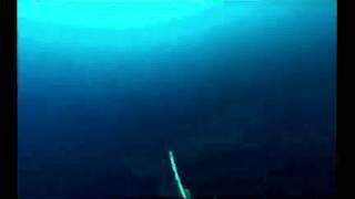 California 220 lbs Tuna HD Spearfishing - Christopher Bowerman - USA