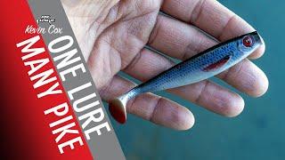 PIKE ATTACK THIS LURE TIME AND TIME AGAIN: Lure fishing for Pike with soft plastic lures.