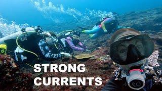 How to dive in strong currents - Tips for success and safety